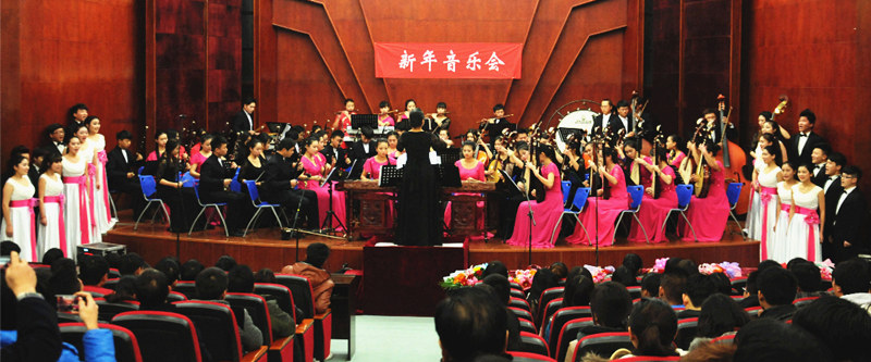天堂资源种子在线官网新年音乐会